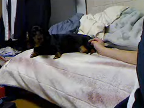 2012-01-23wne.png