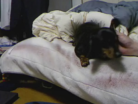2012-01-23wng.png