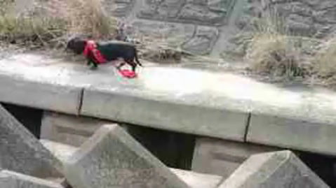 2012-02-08ong.png