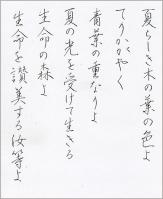 20130212c.jpg