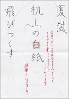 2013201a.jpg