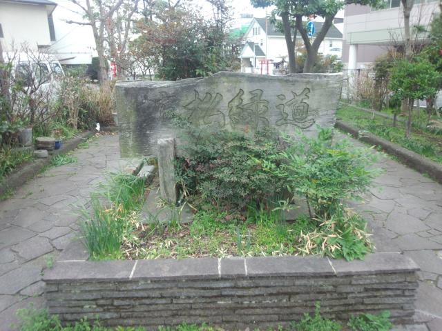 DSC_0093.jpg