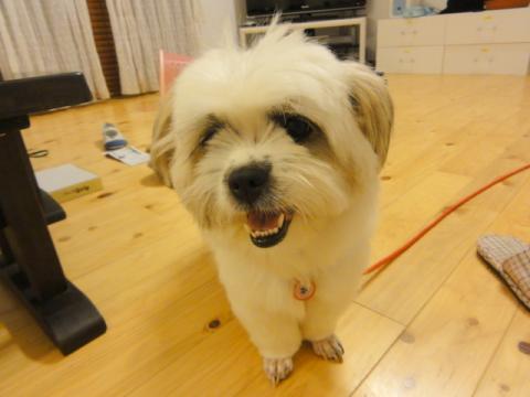 DSC03275.jpg