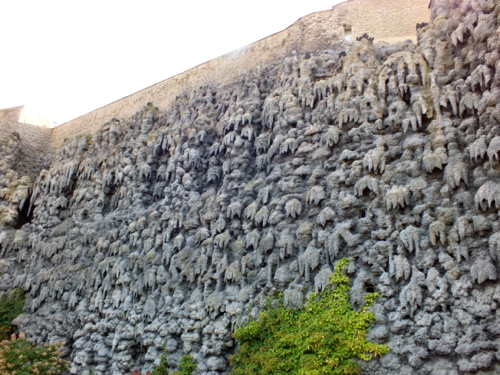 DSCF8175.jpg