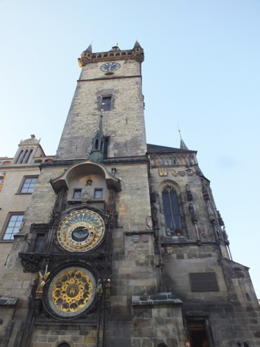 DSCF8195.jpg