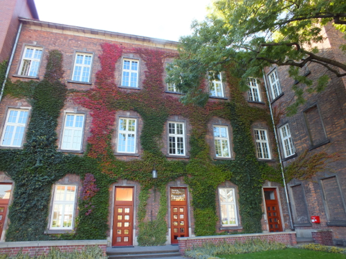 DSCF8326.jpg