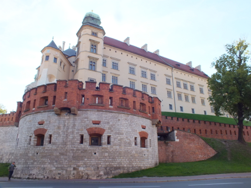 DSCF8337.jpg