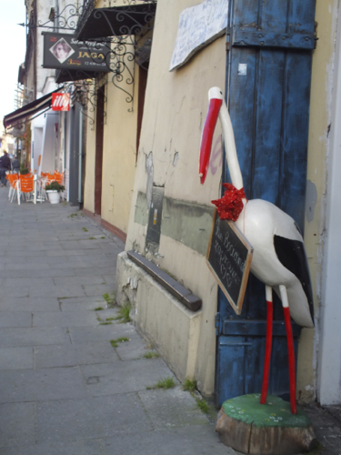 DSCF8344.jpg