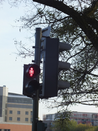 DSCF8370.jpg