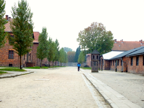 DSCF8412.jpg