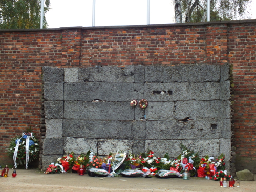 DSCF8422.jpg