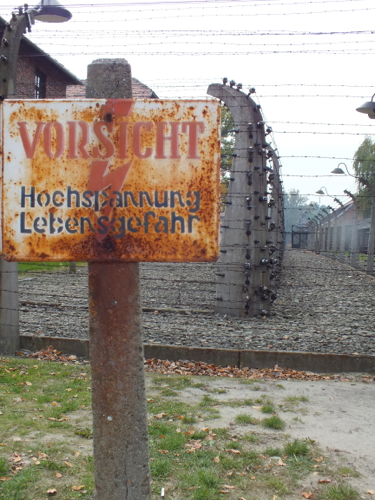 DSCF8438.jpg