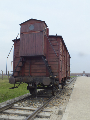 DSCF8443.jpg