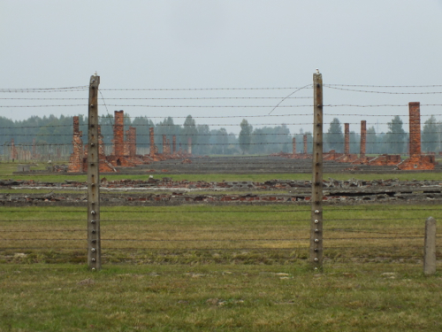 DSCF8445.jpg