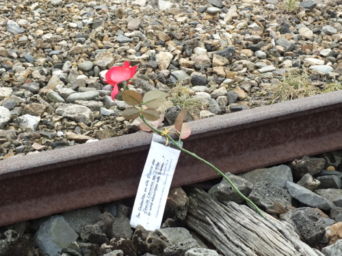 DSCF8446.jpg