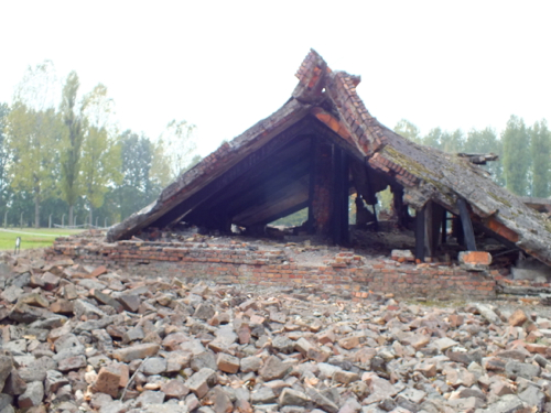DSCF8454.jpg