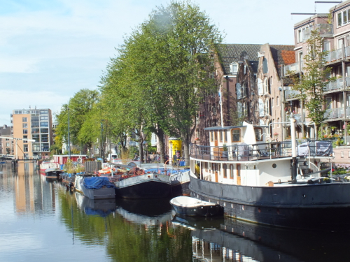 DSCF8631.jpg