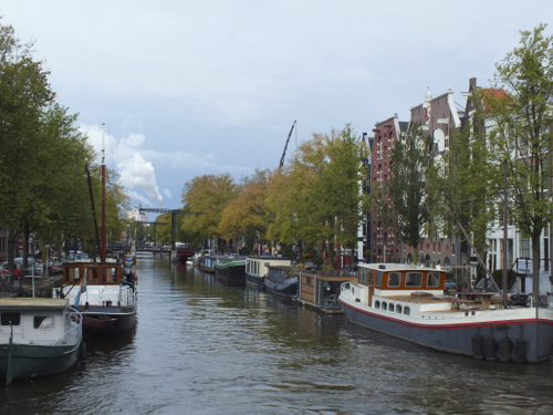 DSCF8635.jpg