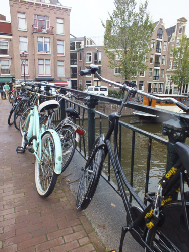DSCF8637.jpg
