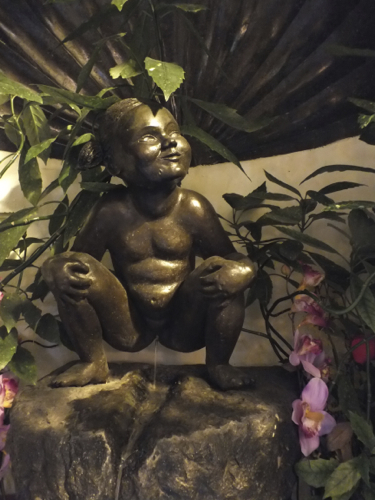 DSCF8811.jpg