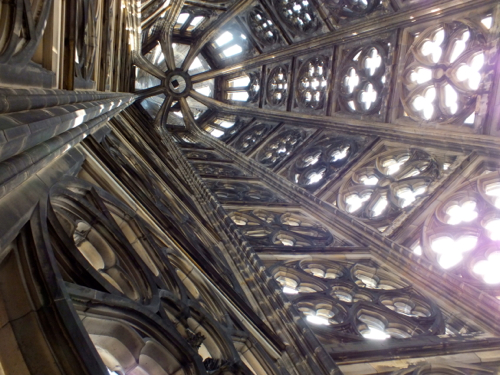 DSCF8830.jpg