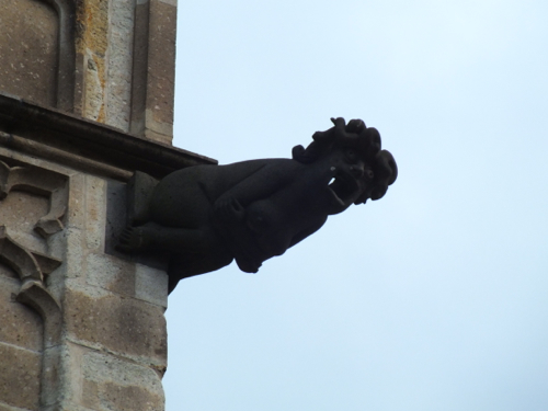 DSCF8877.jpg