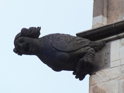 DSCF8878.jpg