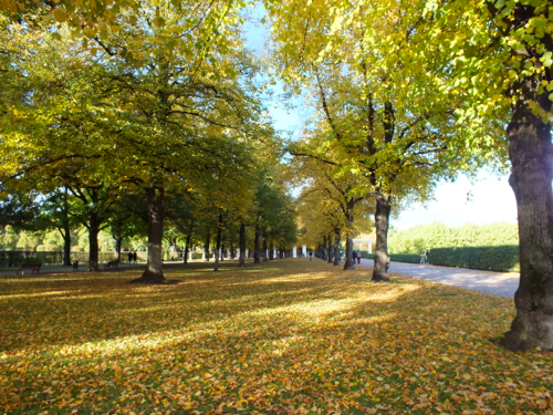 DSCF8984.jpg