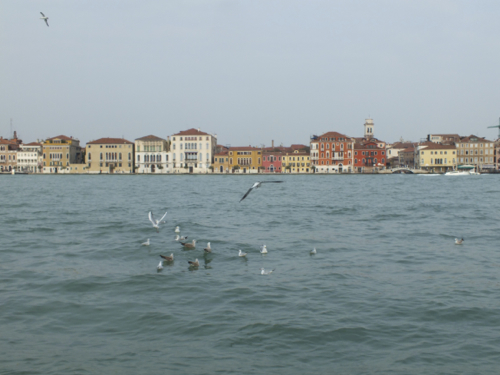 DSCF9089.jpg