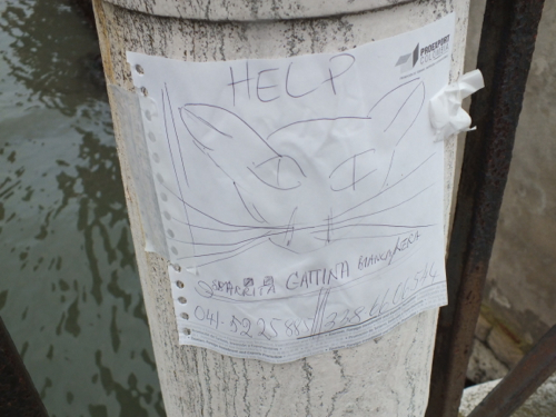 DSCF9143.jpg