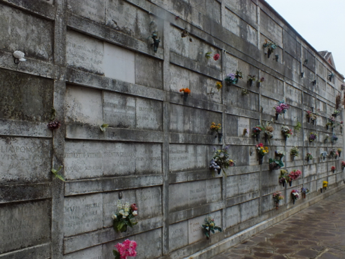 DSCF9247.jpg