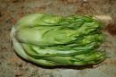 puntarelle