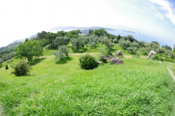 IMGP0475.jpg