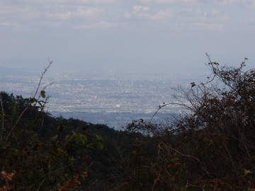 六甲山からの景色