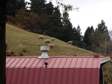 六甲山牧場