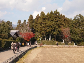 PC040270.jpg