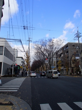 白川通