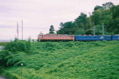 FH020017.jpg