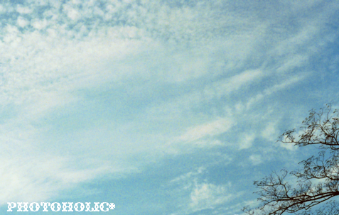 雲も模様のようで美しい青空