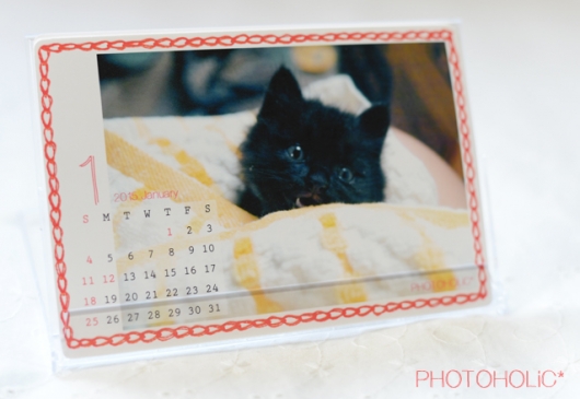photoholic09.jpg