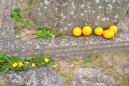 pianao_20120405_11.jpg