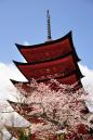 pianao_20120405_24.jpg