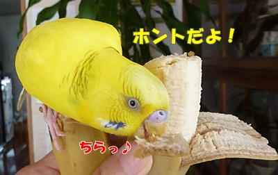 banana10