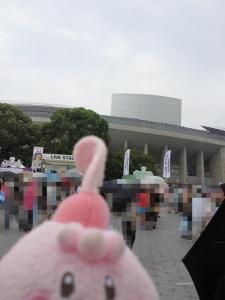 NEC_0393_20110827003801.jpg