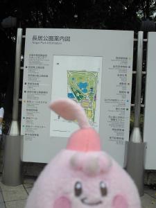 NEC_0399_20110827003529.jpg