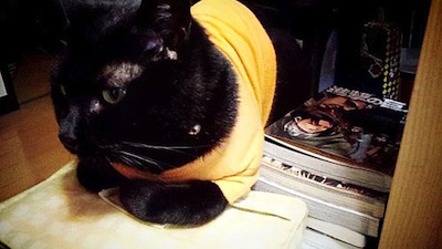 scaled_20111024004532.jpg