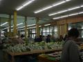 P6190003.jpg