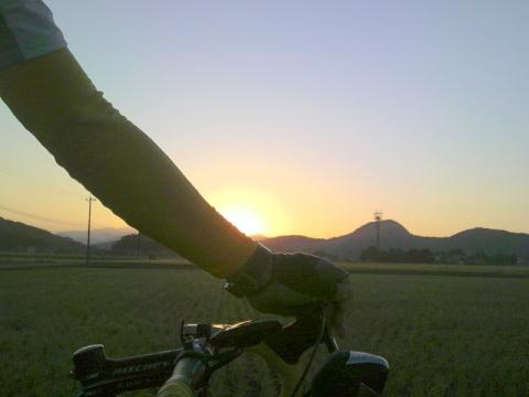 P1150010.jpg