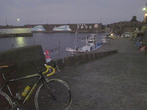 P1150031.jpg