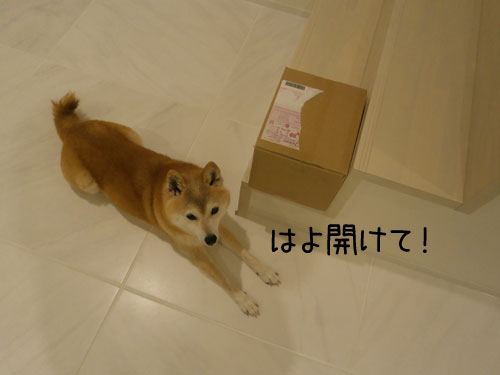 2013-4-29-1.jpg